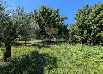 Foto 10 - Agricultural land Contrada Fellino, Cicciano - photo 10