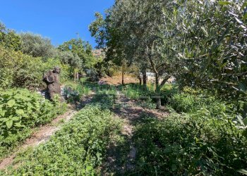 Foto 11 - Agricultural land Contrada Fellino, Cicciano - photo 11