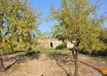 Casale Gioi 09 - Terreno edificabile Contrada C.da Gioi
snc, Noto - foto 8