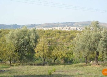 Casale Gioi 10 - Terreno edificabile Contrada C.da Gioi
snc, Noto - foto 9