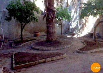 Foto 21 - Stabile - Palazzo Corso Vittorio Emanuele
 
scn, Noto - foto 19