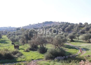 Casale sui monti Iblei02 - Terreno edificabile Contrada Contrada San Giacomo
 
1, Rosolini - foto 2