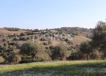 Casale sui monti Iblei03 - Terreno edificabile Contrada Contrada San Giacomo
 
1, Rosolini - foto 3