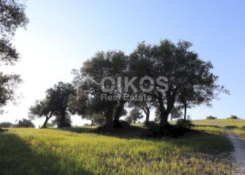 Casale sui monti Iblei06 - Terreno edificabile Contrada Contrada San Giacomo
 
1, Rosolini - foto 6