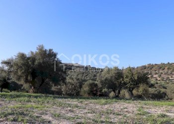 Casale sui monti Iblei07 - Terreno edificabile Contrada Contrada San Giacomo
 
1, Rosolini - foto 7