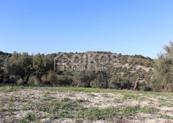 Casale sui monti Iblei08 - Terreno edificabile Contrada Contrada San Giacomo
 
1, Rosolini - foto 8