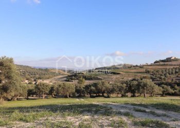 Casale sui monti Iblei11 - Terreno edificabile Contrada Contrada San Giacomo
 
1, Rosolini - foto 11