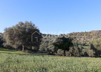 Casale sui monti Iblei13 - Terreno edificabile Contrada Contrada San Giacomo
 
1, Rosolini - foto 13