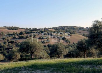 Casale sui monti Iblei14 - Terreno edificabile Contrada Contrada San Giacomo
 
1, Rosolini - foto 14