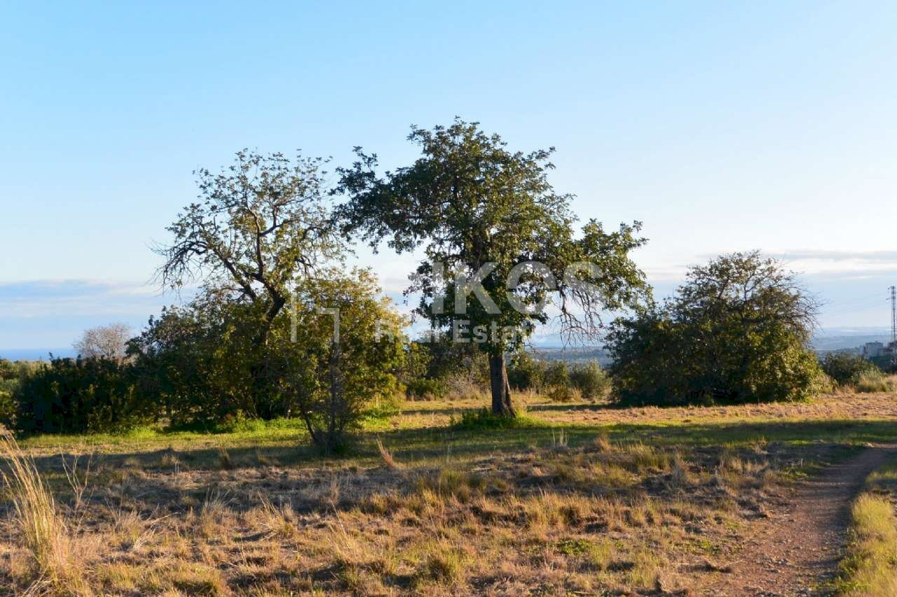 Terreno agricolo in c.da Meti 01 - Agricultural land Contrada Meti
 
1, Noto - photo 1