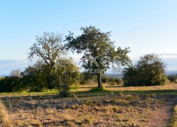Terreno agricolo in c.da Meti 01 - Terreno agricolo Contrada Meti
 
1, Noto - foto 1