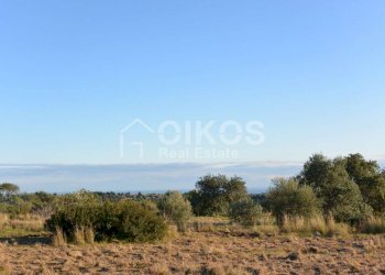 Terreno agricolo in c.da Meti 03 - Terreno agricolo Contrada Meti
 
1, Noto - foto 2