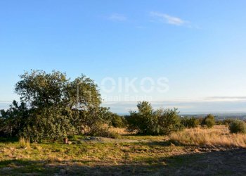 Terreno agricolo in c.da Meti 04 - Terreno agricolo Contrada Meti
 
1, Noto - foto 3