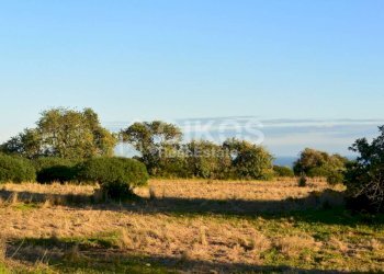 Terreno agricolo in c.da Meti 05 - Terreno agricolo Contrada Meti
 
1, Noto - foto 4