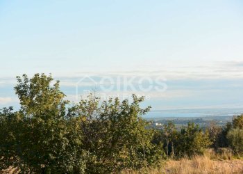 Terreno agricolo in c.da Meti 07 - Terreno agricolo Contrada Meti
 
1, Noto - foto 6