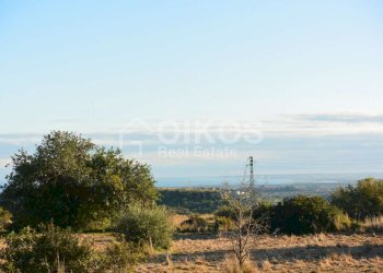 Terreno agricolo in c.da Meti 08 - Terreno agricolo Contrada Meti
 
1, Noto - foto 7