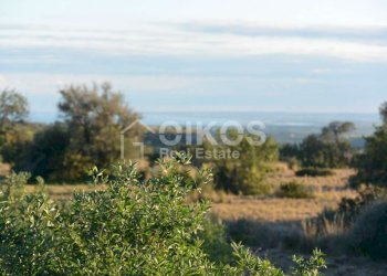 Terreno agricolo in c.da Meti 10 - Terreno agricolo Contrada Meti
 
1, Noto - foto 9