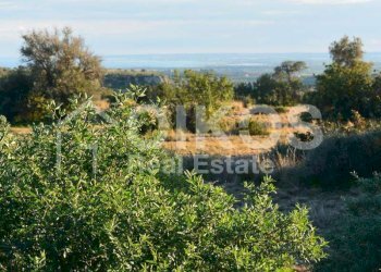 Terreno agricolo in c.da Meti 11 - Terreno agricolo Contrada Meti
 
1, Noto - foto 10