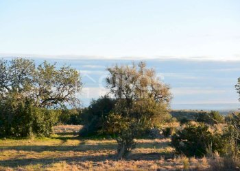 Terreno agricolo in c.da Meti 12 - Terreno agricolo Contrada Meti
 
1, Noto - foto 11