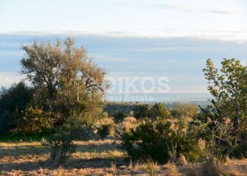 Terreno agricolo in c.da Meti 13 - Terreno agricolo Contrada Meti
 
1, Noto - foto 12