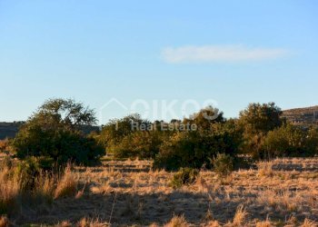 Terreno agricolo in c.da Meti 15 - Terreno agricolo Contrada Meti
 
1, Noto - foto 14