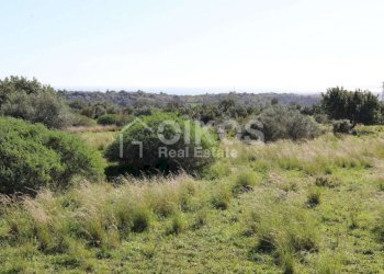 Terreno agricolo in c.da Meti 19 - Terreno agricolo Contrada Meti
 
1, Noto - foto 18