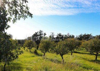 Antico casale in collina 10 - Terreno agricolo Contrada Casale
 
1, Noto - foto 10