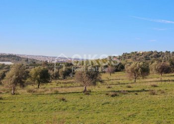 Antico casale in collina 13 - Terreno agricolo Contrada Casale
 
1, Noto - foto 13