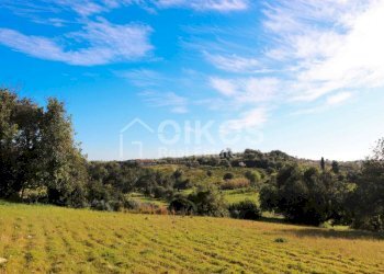 Antico casale in collina 14 - Terreno agricolo Contrada Casale
 
1, Noto - foto 14
