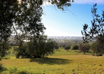 Antico casale in collina 15 - Terreno agricolo Contrada Casale
 
1, Noto - foto 15