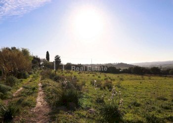 Antico casale in collina 16 - Terreno agricolo Contrada Casale
 
1, Noto - foto 16