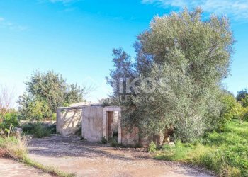 Antico casale in collina 20 - Terreno agricolo Contrada Casale
 
1, Noto - foto 20