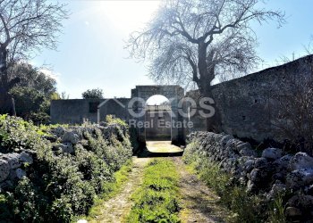 Foto 1 - Terreno agricolo C.da Villa Vela, Noto - foto 1