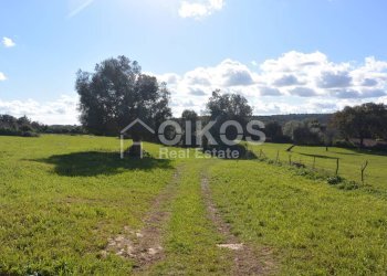 Foto 4 - Terreno agricolo C.da Villa Vela, Noto - foto 4