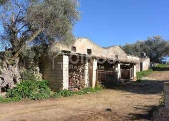 Foto 13 - Terreno agricolo C.da Villa Vela, Noto - foto 13