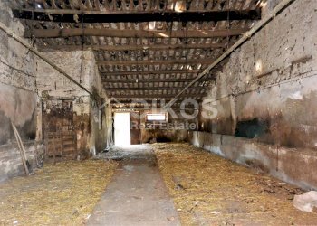 Foto 14 - Terreno agricolo C.da Villa Vela, Noto - foto 14