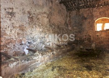 Foto 15 - Terreno agricolo C.da Villa Vela, Noto - foto 15