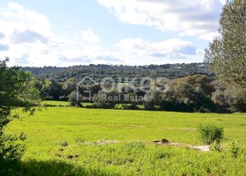 Foto 18 - Terreno agricolo C.da Villa Vela, Noto - foto 18