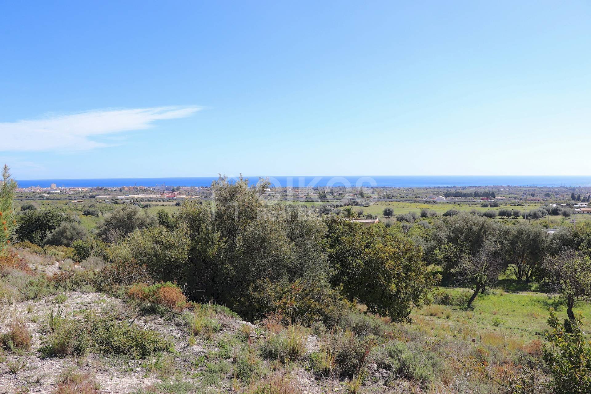 Foto 2 - Terreno agricolo c.da Mammanelli
 
snc, Avola - foto 2