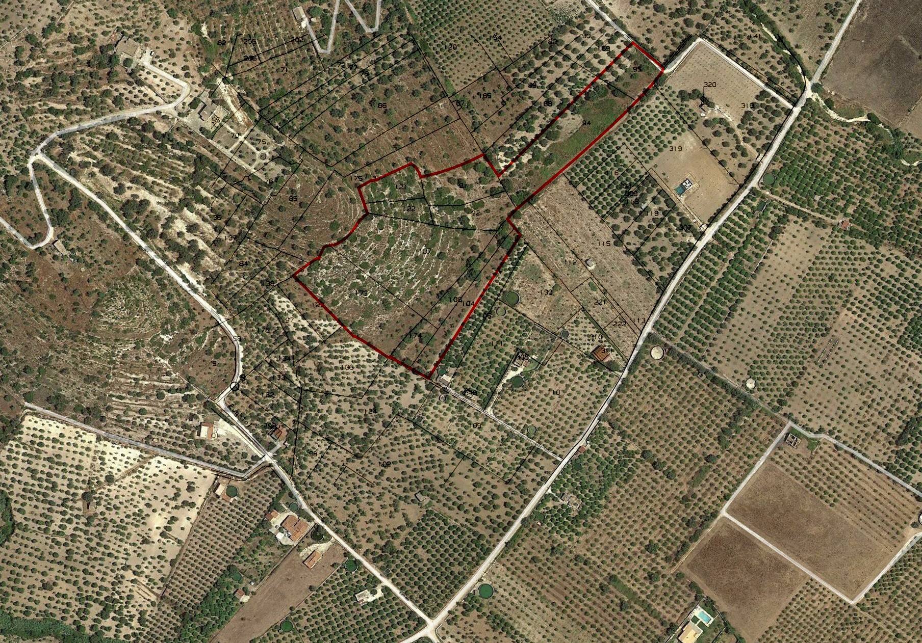 Foto 16 - Terreno agricolo c.da Mammanelli
 
snc, Avola - planimetria 1