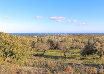 Foto 1 - Terreno agricolo c.da Mammanelli
 
snc, Avola - foto 1