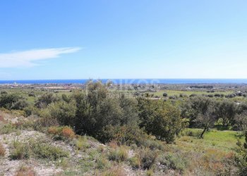 Foto 2 - Terreno agricolo c.da Mammanelli
 
snc, Avola - foto 2