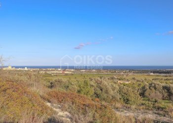 Foto 3 - Terreno agricolo c.da Mammanelli
 
snc, Avola - foto 3