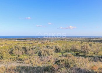 Foto 4 - Terreno agricolo c.da Mammanelli
 
snc, Avola - foto 4