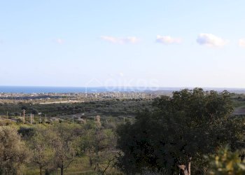 Foto 5 - Terreno agricolo c.da Mammanelli
 
snc, Avola - foto 5