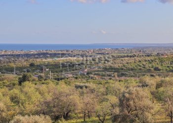 Foto 7 - Terreno agricolo c.da Mammanelli
 
snc, Avola - foto 7