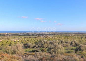 Foto 8 - Terreno agricolo c.da Mammanelli
 
snc, Avola - foto 8