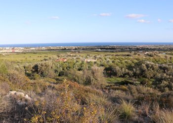 Foto 10 - Terreno agricolo c.da Mammanelli
 
snc, Avola - foto 10