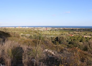 Foto 11 - Terreno agricolo c.da Mammanelli
 
snc, Avola - foto 11