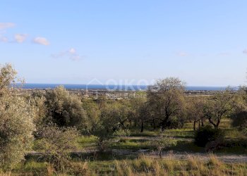 Foto 12 - Terreno agricolo c.da Mammanelli
 
snc, Avola - foto 12